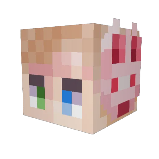 DanDaMan007 Minecraft avatar head, 3D render
