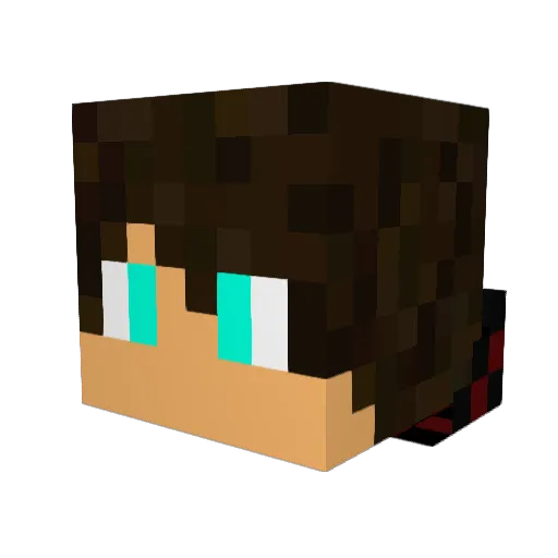DanDan69 Minecraft avatar head, 3D render
