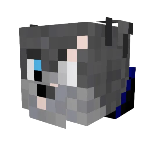DanDanXiong Minecraft avatar head, 3D render