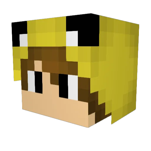 DanDemolisher04 Minecraft avatar head, 3D render