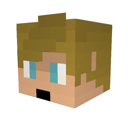 DanFTW5201 Minecraft avatar head, 3D render