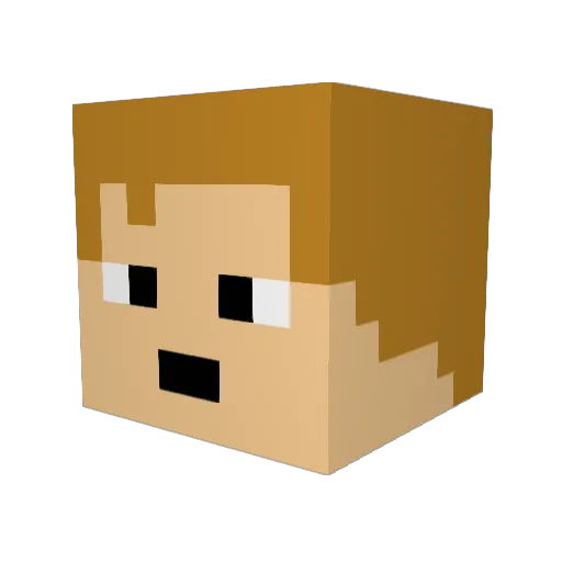 DanFergi26 Minecraft avatar head, 3D render