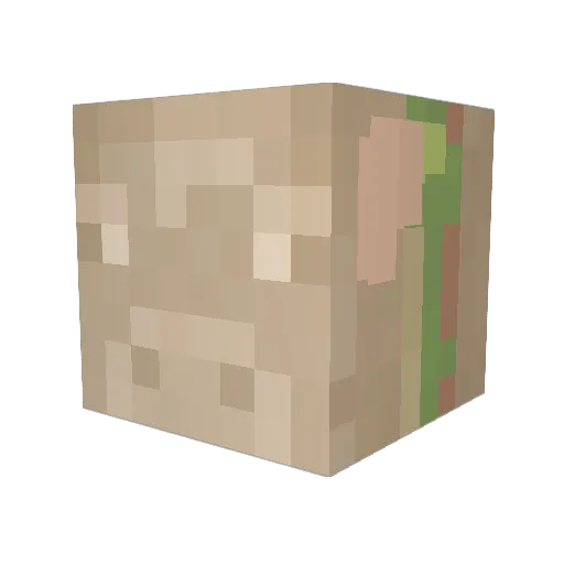 DanGam00 Minecraft avatar head, 3D render