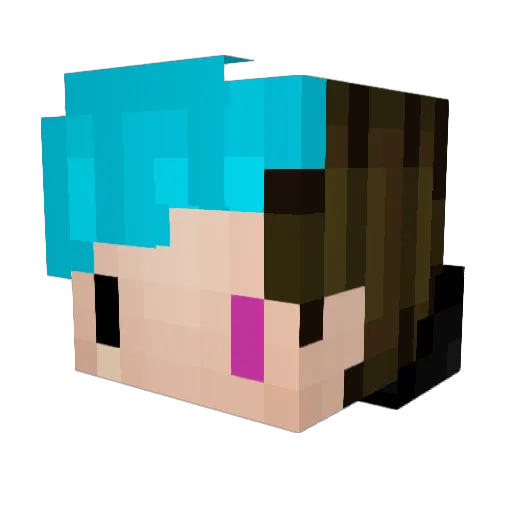 DanHasNoCookies Minecraft avatar head, 3D render