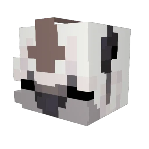 DanMan1744 Minecraft avatar head, 3D render