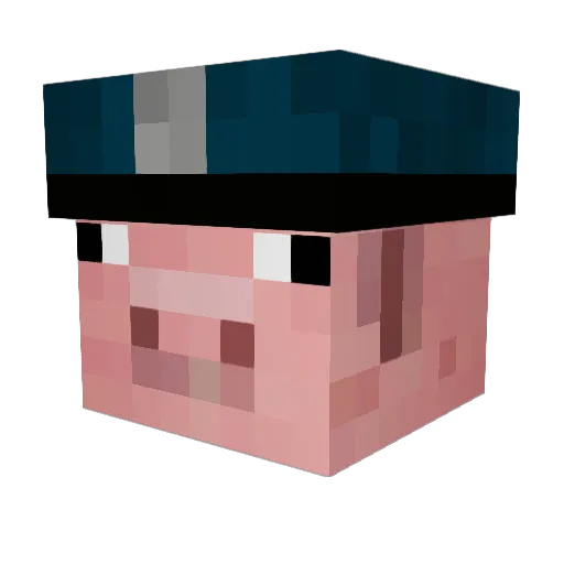 DanSw4qq Minecraft avatar head, 3D render