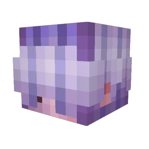 DanTheDynamite Minecraft avatar head, 3D render