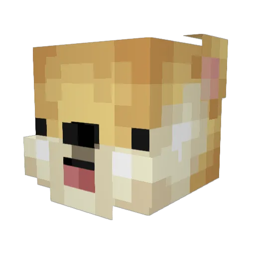DanTheSodaCan Minecraft avatar head, 3D render