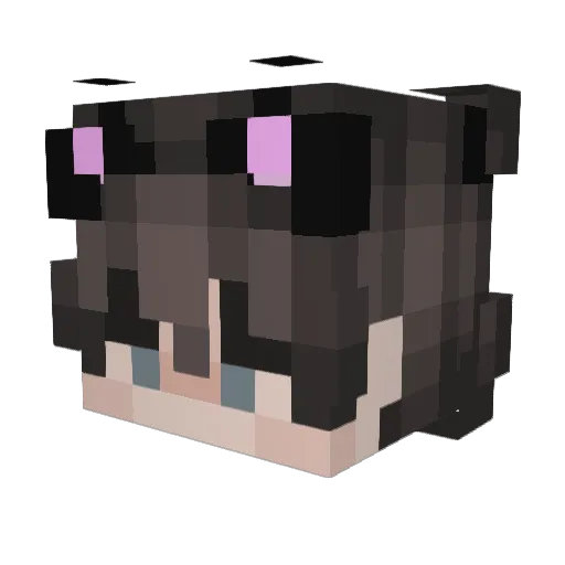 DanWaffle2004 Minecraft avatar head, 3D render