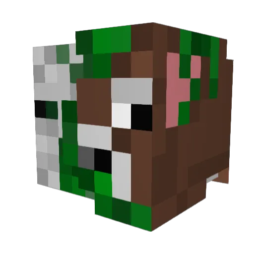 DanZaMan0 Minecraft avatar head, 3D render