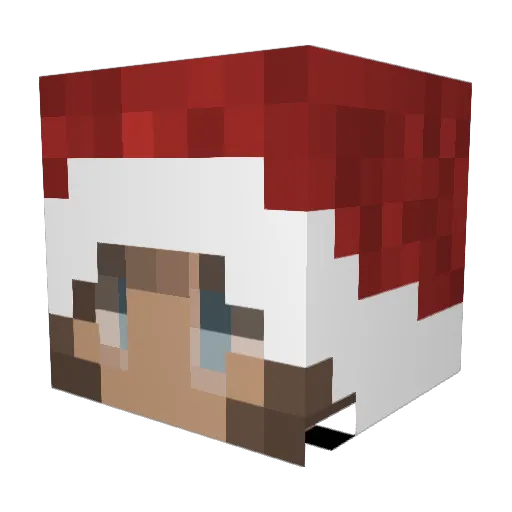 Dan_Dan4ik Minecraft avatar head, 3D render