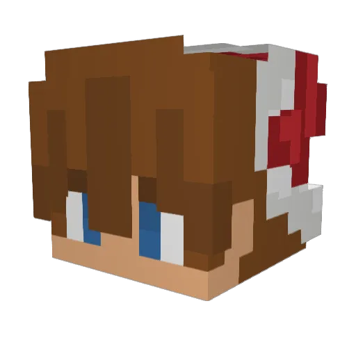 Dan_NEE Minecraft avatar head, 3D render
