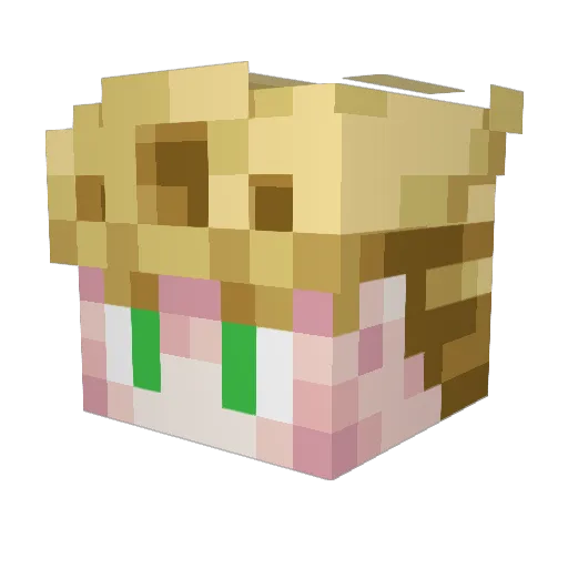 Dan_TMD_ Minecraft avatar head, 3D render