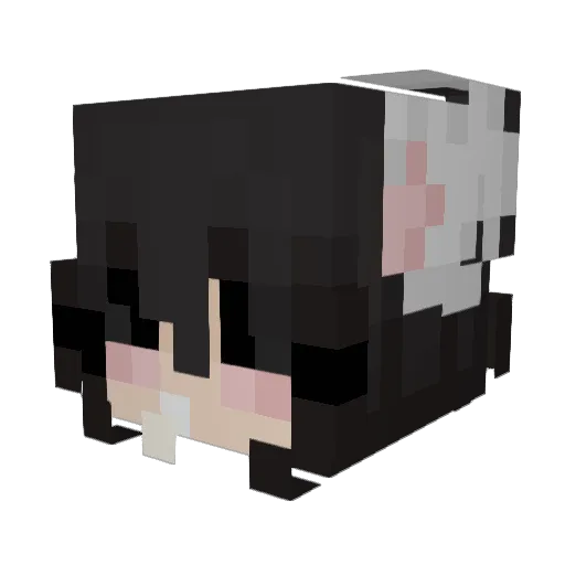 Dan_ny_ Minecraft avatar head, 3D render