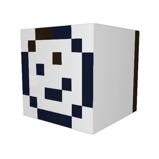 Dan_the_Man11 Minecraft avatar head, 3D render