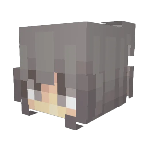 Dana1612 Minecraft avatar head, 3D render