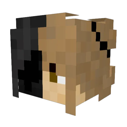 Dana2084 Minecraft avatar head, 3D render