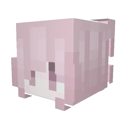 Dana Minecraft avatar head, 3D render