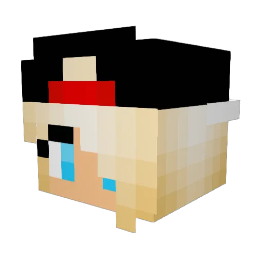 DanaBluu Minecraft avatar head, 3D render