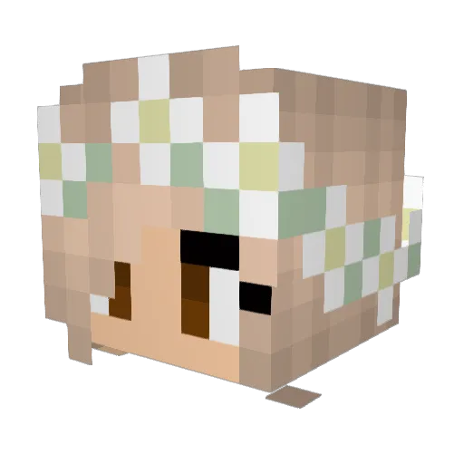 DanaGallagher Minecraft avatar head, 3D render