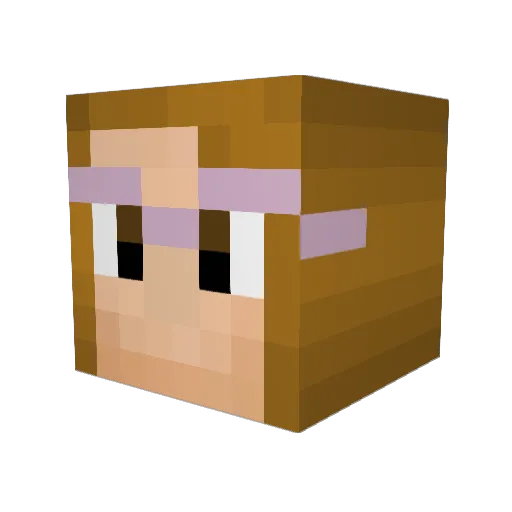 DanaTheDestroyer Minecraft avatar head, 3D render