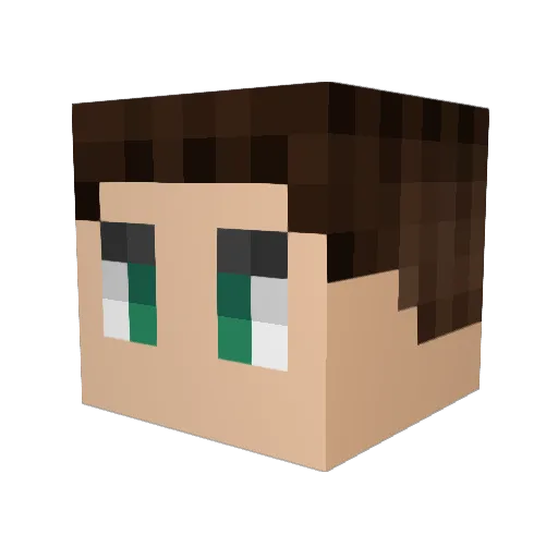 Danatron8888 Minecraft avatar head, 3D render