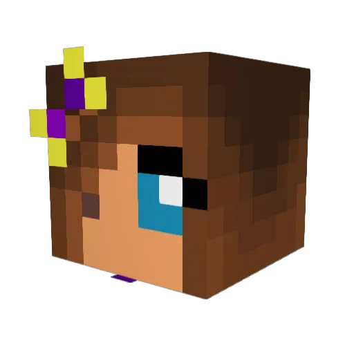 Dance4ever373 Minecraft avatar head, 3D render
