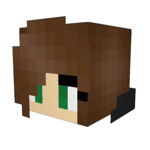 DanceDiva2207 Minecraft avatar head, 3D render