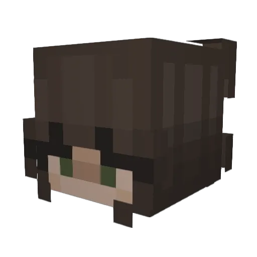 DanceNoMore Minecraft avatar head, 3D render