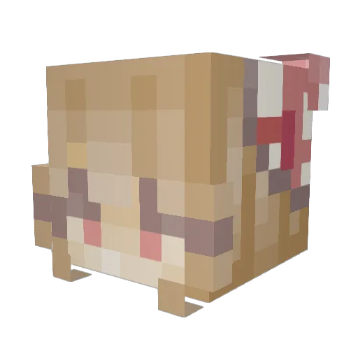 DanceRance Minecraft avatar head, 3D render