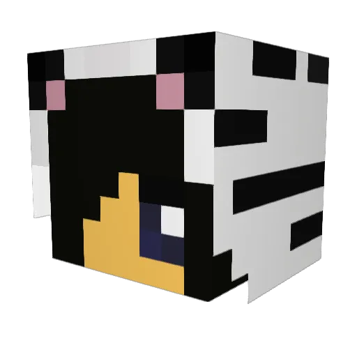 Dancelover360 Minecraft avatar head, 3D render
