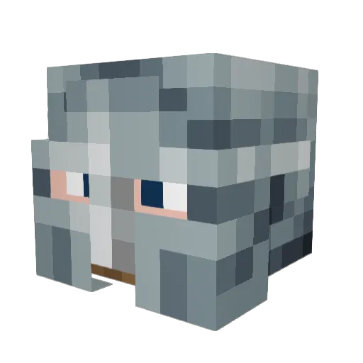 DancinPartyBoy Minecraft avatar head, 3D render