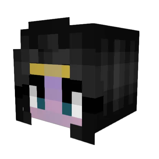 DancingCats_ Minecraft avatar head, 3D render