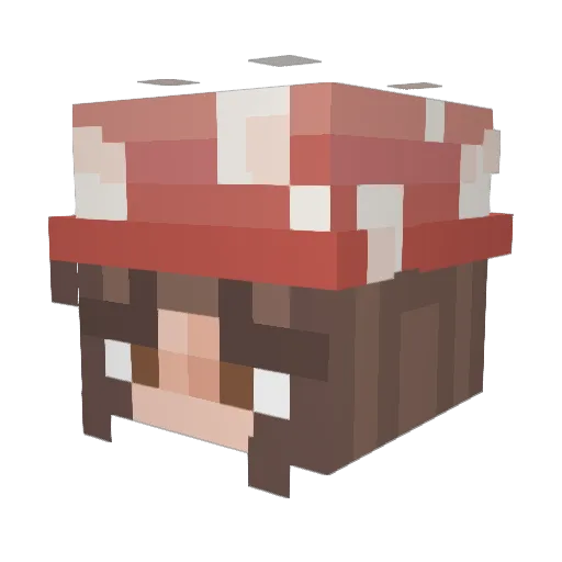 DancingFrog1233 Minecraft avatar head, 3D render