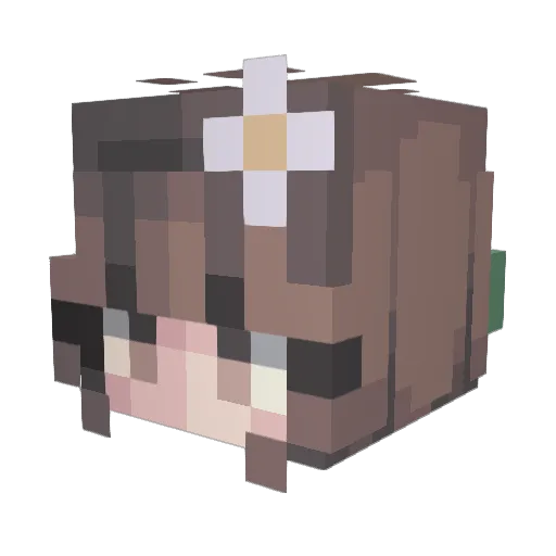 DancingHarp123 Minecraft avatar head, 3D render
