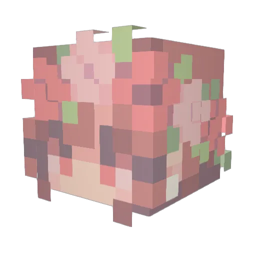 DancingInRain Minecraft avatar head, 3D render