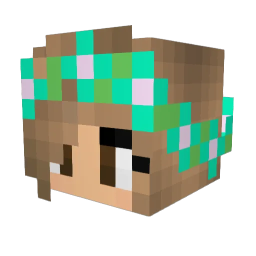 DancingMonkey418 Minecraft avatar head, 3D render