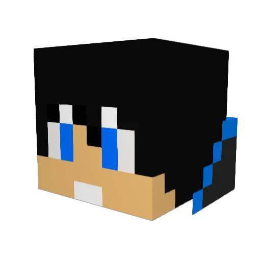 DancingPanda47 Minecraft avatar head, 3D render