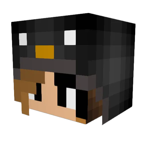 DancingPenguin33 Minecraft avatar head, 3D render