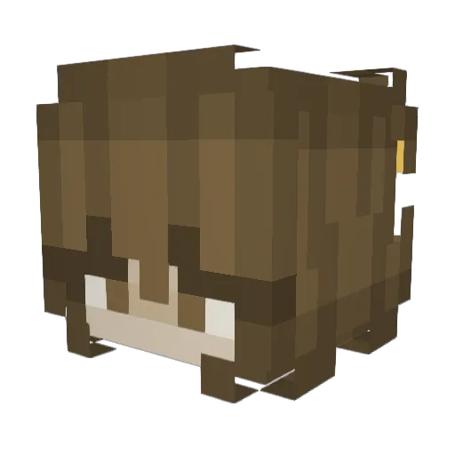 DancingQueen7452 Minecraft avatar head, 3D render