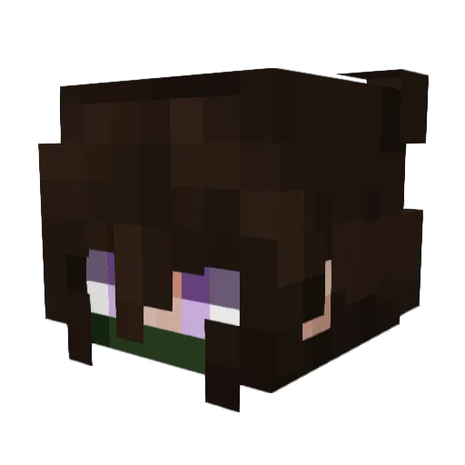 DancingSolo Minecraft avatar head, 3D render