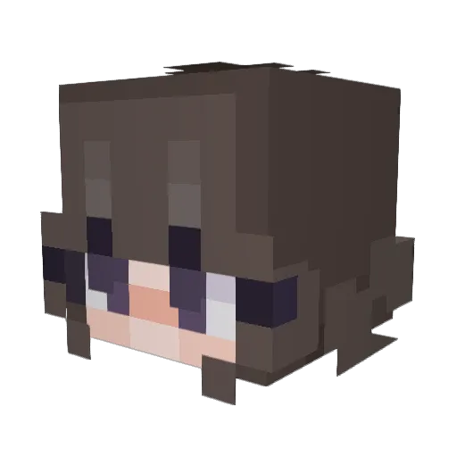 Dancing_Parrote Minecraft avatar head, 3D render