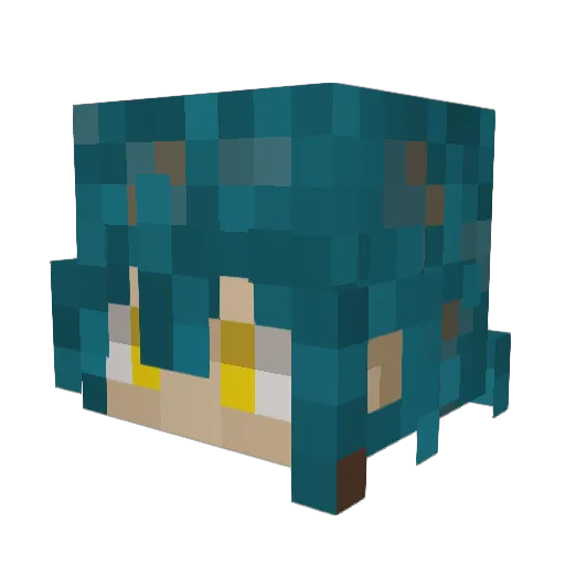 Dancingcatcus Minecraft avatar head, 3D render
