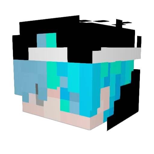 DandaCZ0201 Minecraft avatar head, 3D render