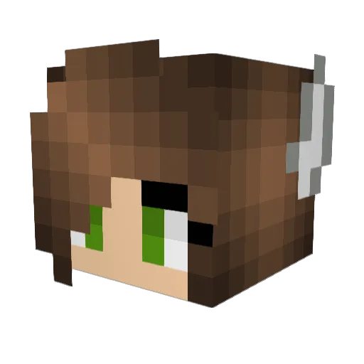 DandaIorian Minecraft avatar head, 3D render
