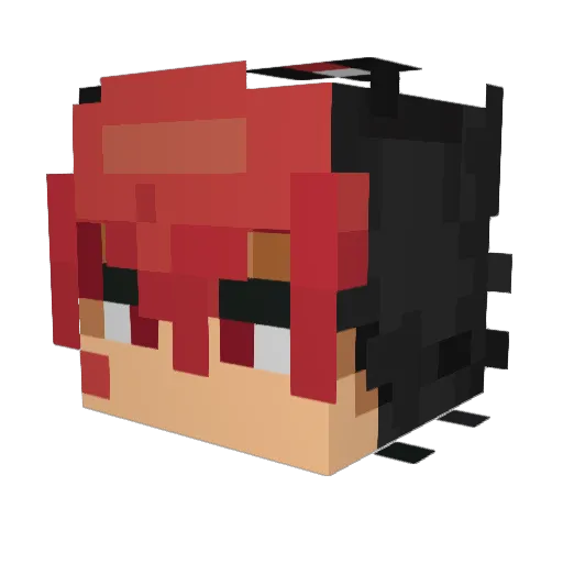 Dandanpls Minecraft avatar head, 3D render