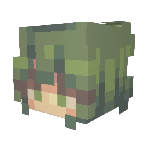 Dandeli0n__ Minecraft avatar head, 3D render