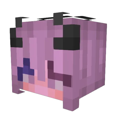 Dandelioe_dust5 Minecraft avatar head, 3D render