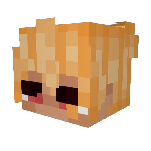 DandelionMoths Minecraft avatar head, 3D render