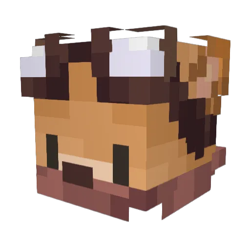 Dandelionbender Minecraft avatar head, 3D render